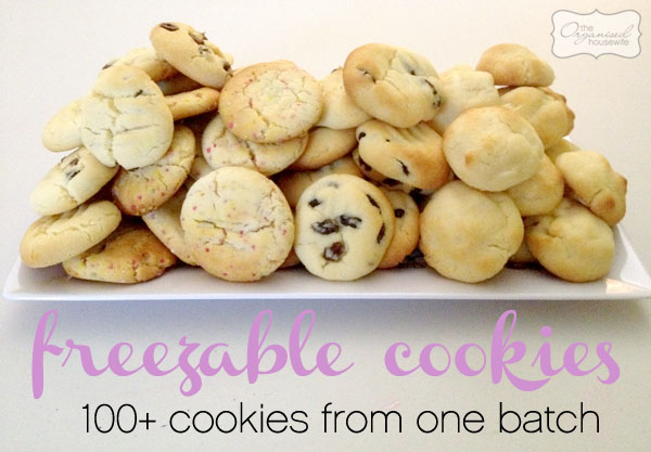 100-freezeable-cookies1